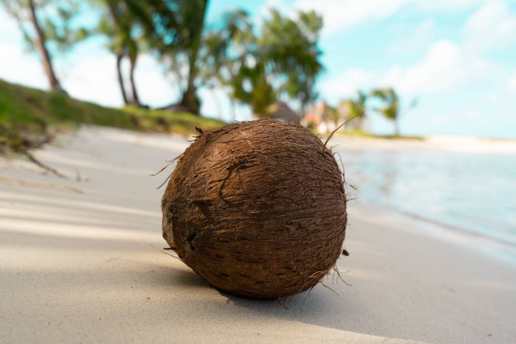 Cenne właściwości masła kokosowego i zastosowanie